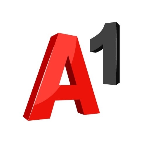 A1